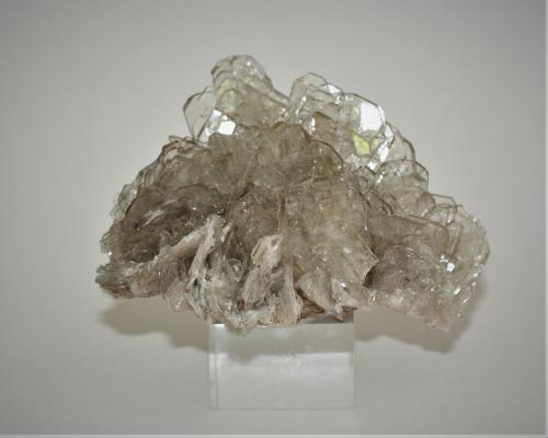 Baryte<br />Warihuyn Hill, Puños, Miraflores District, Huamalíes Province, Huánuco Department, Peru<br />80mm x 45mm x 50mm<br /> (Author: Philippe Durand)