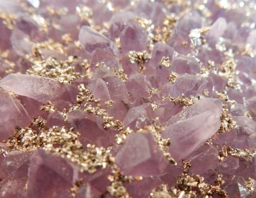 Quartz (variety amethyst) and Pyrite<br />Chala Mine, Spachievo, Mineralni Bani Municipality, Haskovo Oblast, Bulgaria<br />100x70x20 mm<br /> (Author: Dany Mabillard)