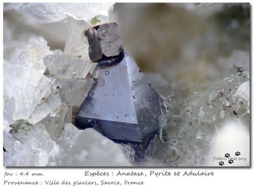 Anatase, Pyrite<br />Ville des Glaciers, Saboya, Auvergne-Rhône-Alpes, Francia<br />fov 4.4 mm<br /> (Author: ploum)