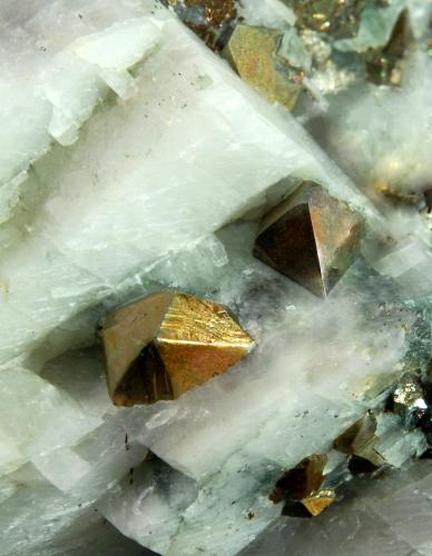 Chalcopyrite<br />French Creek Mines, St. Peters, Warwick Township, Chester County, Pennsylvania, USA<br />6.0 cm x 8.0 cm<br /> (Author: Michael Shaw)