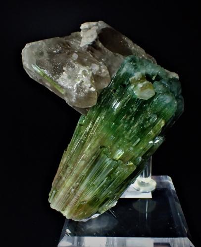 Elbaite (Tourmaline Group), Quartz (variety smoky quartz), Albite<br />Paprok, Kamdesh District, Nuristan Province, Afghanistan<br />165 mm x 145 mm x 95 mm<br /> (Author: Don Lum)