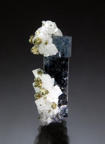 Galena, Dolomite, Chalcopyrite<br />Buick Mine, Bixby, Viburnum Trend District, Iron County, Missouri, USA<br />0.9 cm x 2.2 cm<br /> (Author: Michael Shaw)