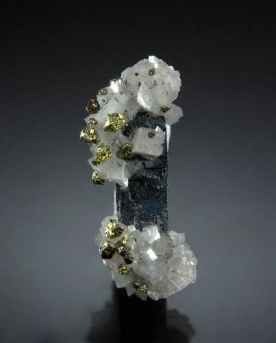 Galena, Dolomite, Chalcopyrite<br />Buick Mine, Bixby, Viburnum Trend District, Iron County, Missouri, USA<br />0.9 cm x 2.2 cm<br /> (Author: Michael Shaw)