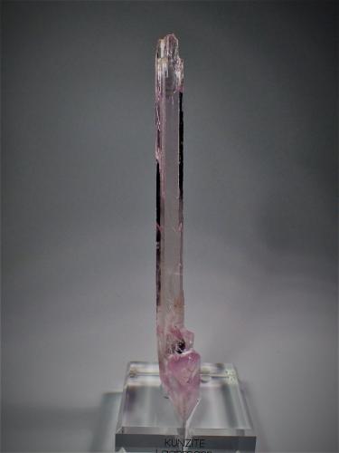 Spodumene (variety kunzite)<br />Laghman Province, Afghanistan<br />243 mm x 70 mm x 28 mm<br /> (Author: Don Lum)