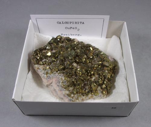 Calcopirita<br />Freiberg District, Erzgebirgskreis, Saxony/Sachsen, Germany<br />8 x 7 x 3,2 cm<br /> (Autor: J. G. Alcolea)