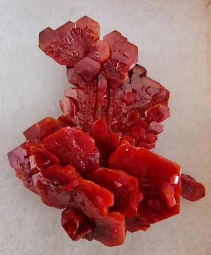 Vanadinite<br />Coud'a, Mibladen mining district, Mibladen, Midelt, Midelt Province, Drâa-Tafilalet Region, Morocco<br />6x6 cm.<br /> (Author: Enrique Llorens)