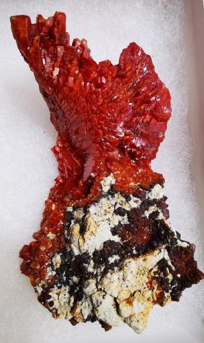 Vanadinite<br />Coud'a, Distrito minero Mibladen, Mibladen, Midelt, Provincia Midelt, Región Drâa-Tafilalet, Marruecos<br />5 cmx7,2 cm.<br /> (Author: Enrique Llorens)