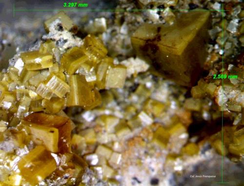 Wulfenita.<br />Minas del Barranco del Humo, Albuñuelas, Comarca Valle de Lecrín, Granada, Andalucía, España<br />3´2x 2´5 mm.<br /> (Autor: Jesus Franquesa Baucells)