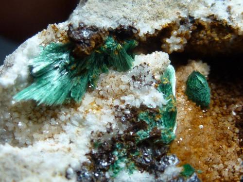 Malaquita<br />Troya Mine, Mutiloa, Comarca Goyerri, Guipúzcoa / Gipuzkoa, Basque Country (Euskadi), Spain<br />5,5 x 4 cm.<br /> (Autor: javier ruiz martin)