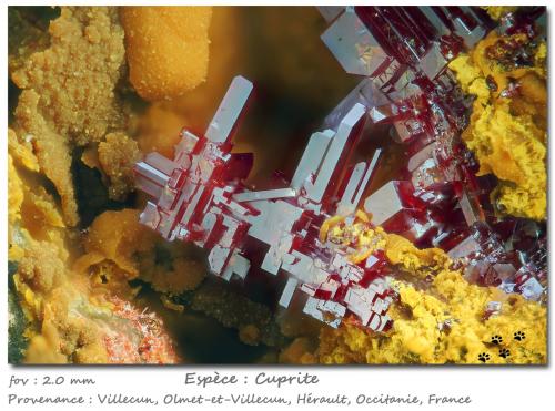 Cuprite<br />Villecun, Olmet-et-Villecun, Lodève Canton, Lodève District, Hérault, Occitanie, France<br />fov 2 mm<br /> (Author: ploum)