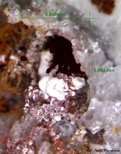 Halloysita<br />Coto Laízquez, Huebro, Níjar, Comarca Metropolitana de Almería, Almería, Andalucía, España<br />1´08 x 0´84 mm.<br /> (Autor: Jesus Franquesa Baucells)