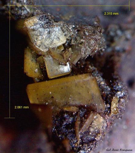 Barita.<br />Corta Santa Matilde, grupo minero Berja, Las Herrerías, Sierra Almagrera, Cuevas del Almanzora, Comarca Levante Almeriense, Almería, Andalucía, España<br />2´31 x 2´06 mm.<br /> (Autor: Jesus Franquesa Baucells)