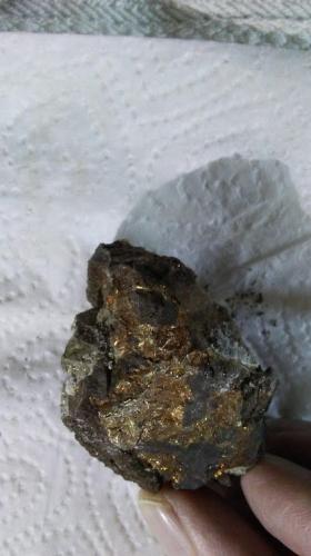 Pyrite<br />Rensselaer Quarry, Rensselaer, Marion Township, Jasper County, Indiana, USA<br /><br /> (Author: R Saunders)