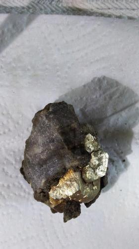 Pyrite<br />Rensselaer Quarry, Rensselaer, Marion Township, Jasper County, Indiana, USA<br /><br /> (Author: R Saunders)