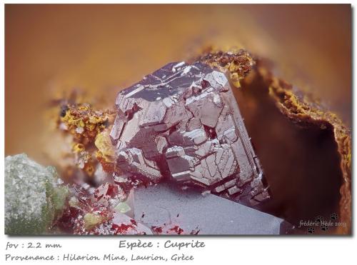 Cuprite<br />Hilarion Mine, Hilarion area, Kamariza Mines, Agios Konstantinos, Lavrion Mining District, Attikí (Attica) Prefecture, Greece<br />fov 2.2 mm<br /> (Author: ploum)