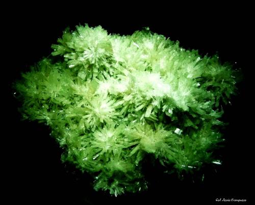 Yeso (variedad selenita)<br />Whyalla, Península Eyre, Australia Meridional, Australia<br />120x90 mm.<br /> (Autor: Jesus Franquesa Baucells)