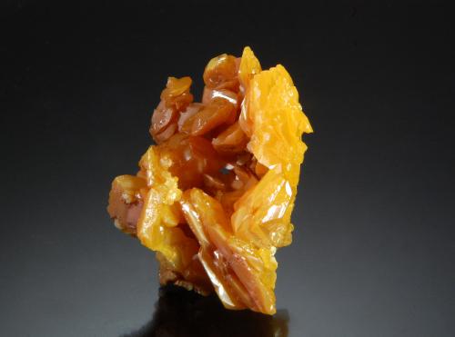 Wulfenite<br />La Morita Mine, Municipio Ascención, Chihuahua, Mexico<br />3.3 cm x 4.5 cm<br /> (Author: Michael Shaw)