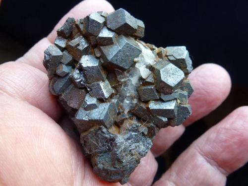 Magnetita<br />Burguillos del Cerro, Comarca Zafra-Río Bodión, Badajoz, Extremadura, Spain<br />6 x 6 cm.<br /> (Autor: javier ruiz martin)