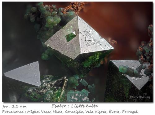Libethenite and Turquoise<br />Miguel Vacas Mine, Pardais and Conceição Parish, Vila Viçosa, Évora District, Alentejo Central Province, Alentejo Region, Portugal<br />fov 2.2 mm<br /> (Author: ploum)