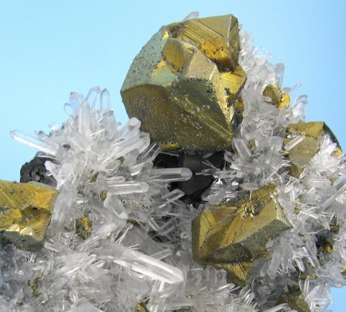 Chalcopyrite, quartz
Alimon Mine, Huaron, San José de Huayllay, Cerro de Pasco, Daniel Alcides Carrión, Pasco, Peru
70 mm x 63 x mm 33 mm

Close-up view (Author: Carles Millan)