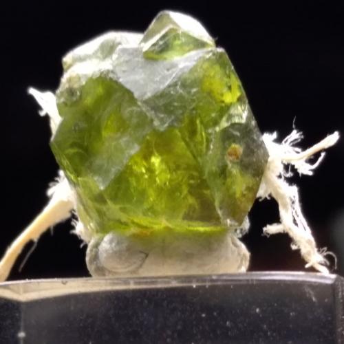 Andradite (variety demantoid)<br />Sferlùn asbestos Mine, Vallone del Cengiaccio, Lanzada, Malenco Valley (Valmalenco), Sondrio Province, Lombardy, Italy<br />12 mm<br /> (Author: Sante Celiberti)