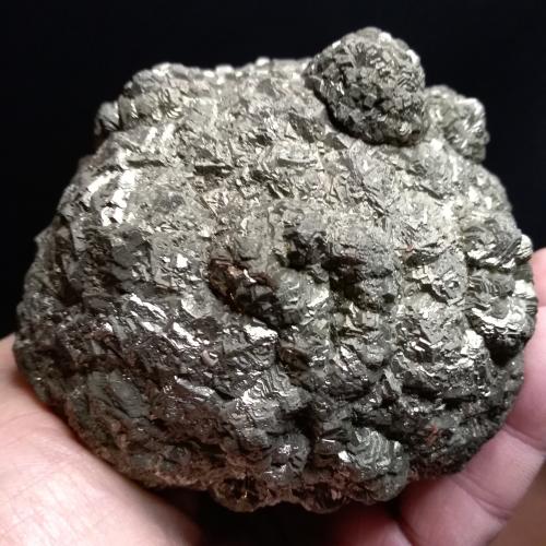Pyrite<br />Gola del Furlo, Fossombrone, Fossombrone Comune, Pesaro and Urbino Province, Marche, Italy<br />9.3 cm<br /> (Author: Sante Celiberti)
