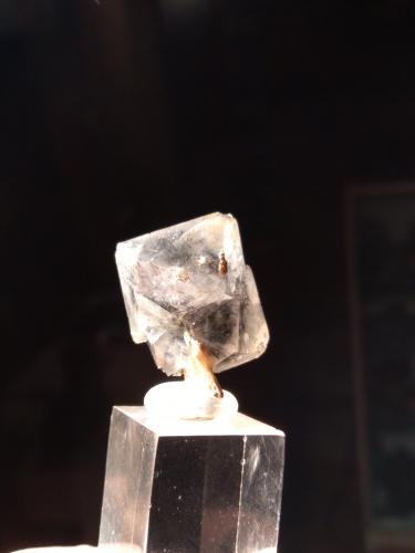 Quartz<br />Monteacuto Ragazza, Grizzana Morandi, Ciudad metropolitana de Bolonia, Emilia-Romagna, Italia<br />25 mm x 25 mm<br /> (Author: Sante Celiberti)