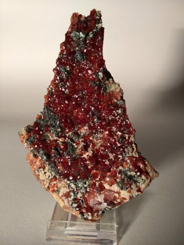 Grossular (variety hessonite), Diopside, Clinochlore<br />Susa Valley, Metropolitan City of Turin Province, Piedmont (Piemonte), Italy<br />120 mm x 83 mm<br /> (Author: Sante Celiberti)