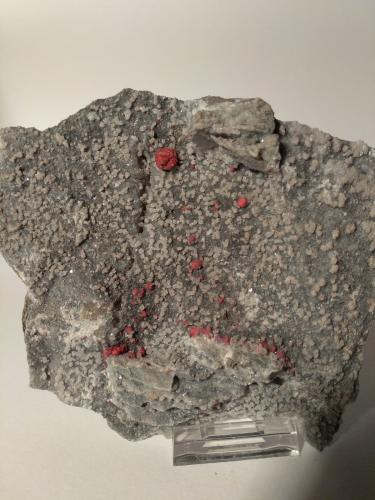 Cinabrio, Dolomita<br />Mina Siele, Monte Amiata, Piancastagnaio, Provincia Siena, Toscana, Italia<br />130 mm x 112 mm<br /> (Autor: Sante Celiberti)