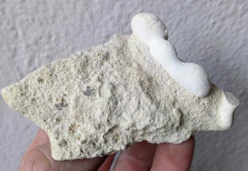 Ópalo (variedad menilito)<br />Camp dels Ninots, Caldes de Malavella, Comarca La Selva, Gerona / Girona, Catalonia / Catalunya, Spain<br />8,5 x 5,5 cm.<br /> (Autor: Carles)