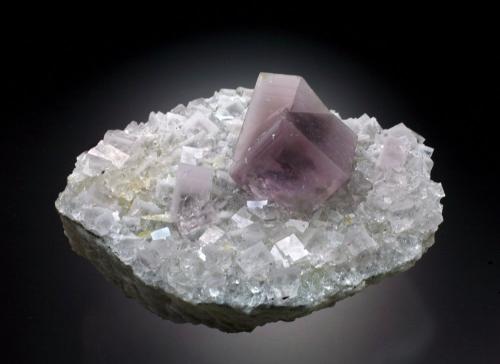 Fluorite<br />Mina Beihilfe, Halsbrücke, Distrito Freiberg, Erzgebirgskreis, Sajonia/Sachsen, Alemania<br />7x5x4 cm overall size.<br /> (Author: Jesse Fisher)