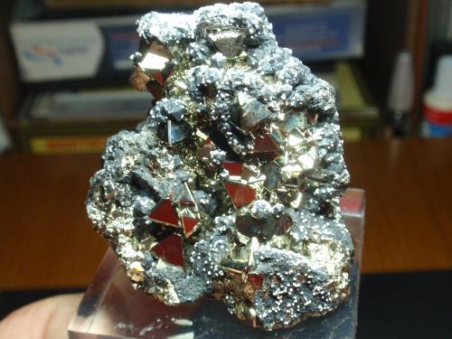 Pirita sobre Esfalerita (variedad marmatita)<br />Huanzala Mine, Huallanca District, Dos de Mayo Province, Huánuco Department, Peru<br />50x60 mm<br /> (Autor: Ignacio)