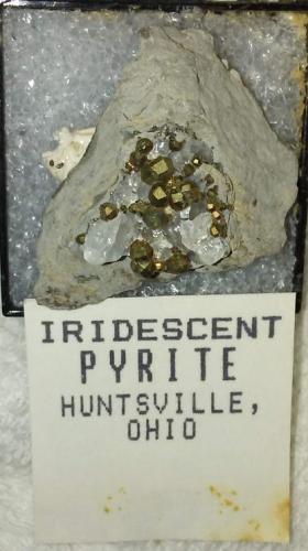 Pyrite and Calcite<br />C. E. Duff & Son Quarry, Huntsville, Logan County, Ohio, USA<br />32 mm<br /> (Author: R Saunders)