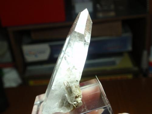 Cuarzo (variedad cristal de roca)<br />Minas da Panasqueira, Aldeia de São Francisco de Assis, Covilhã, Castelo Branco, Cova da Beira, Centro, Portugal<br />35x60<br /> (Autor: Ignacio)