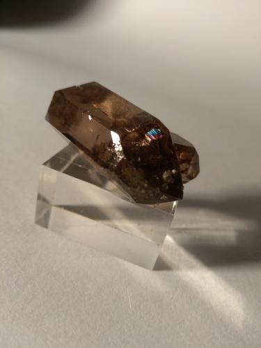 Quartz (variety smoky)<br />Triolet Glacier, Ferret Valley, Les Grandes Jorasses Massif, Courmayeur, Aosta Valley (Val d'Aosta), Italy<br />43 x 26 mm<br /> (Author: Sante Celiberti)