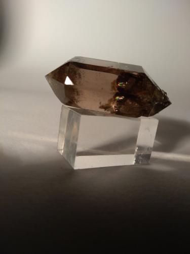 Quartz (variety smoky)<br />Glaciar Triolet, Valle Ferret, Macizo Les Grandes Jorasses, Courmayeur, Valle de Aosta (Val d'Aosta), Italia<br />43 x 26 mm<br /> (Author: Sante Celiberti)