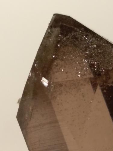 Quartz (variety smoky)<br />Glaciar Triolet, Valle Ferret, Macizo Les Grandes Jorasses, Courmayeur, Valle de Aosta (Val d'Aosta), Italia<br />43 x 26 mm<br /> (Author: Sante Celiberti)