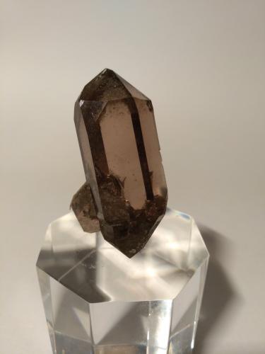 Quartz (variety smoky)<br />Triolet Glacier, Ferret Valley, Les Grandes Jorasses Massif, Courmayeur, Aosta Valley (Val d'Aosta), Italy<br />43 x 26 mm<br /> (Author: Sante Celiberti)