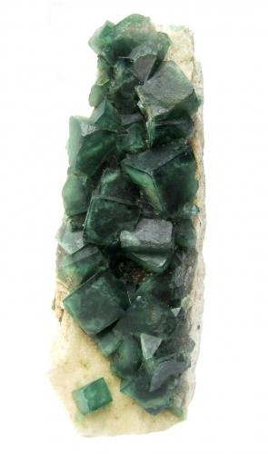 Fluorite<br />Mandrosonoro, Ambatofinandrahana District, Amoron'i Mania Region, Fianarantsoa Province, Madagascar<br />Specimen height 28 cm, largest crystal 3,5 cm<br /> (Author: Tobi)