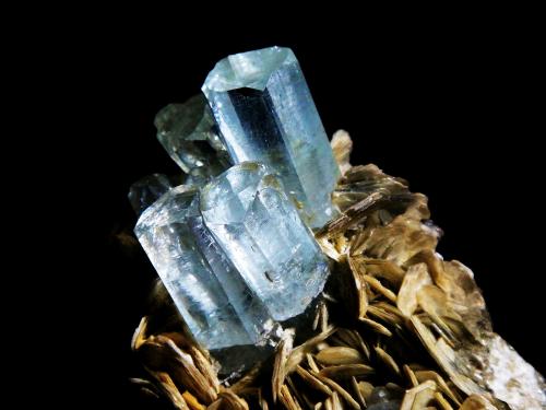 Berilo (variedad aguamarina)<br />Shengus (Shingus), Distrito Roundu, Gilgit-Baltistan (Áreas del Norte), Paquistán<br />Cristal mayor de 2,5 x 1 cm.<br /> (Autor: Antonio P. López)