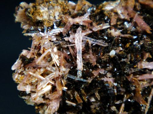 Inesita, Hubeíta<br />Fengjiashan Mine, Edong, Daye, Huangshi Prefecture, Hubei Province, China<br />Cristal central de 5 mm.<br /> (Autor: Antonio P. López)