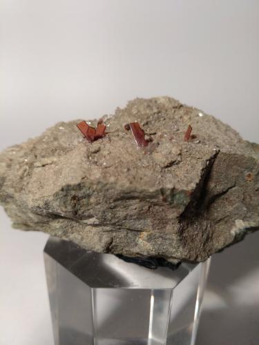 Brookite<br />Bregaceto Mountain, Borzonasca, Genova Province, Liguria, Italy<br />71 x 42 mm<br /> (Author: Sante Celiberti)