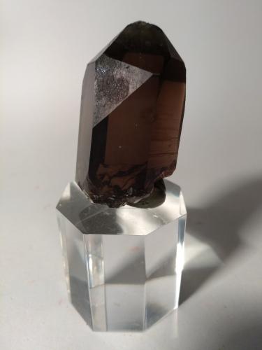 Quartz (variety smoky)<br />Miage Glacier, Veny Valley, Monte Bianco Massif (Mont Blanc Massif), Courmayeur, Aosta Valley (Val d'Aosta), Italy<br />54 x 27 mm<br /> (Author: Sante Celiberti)