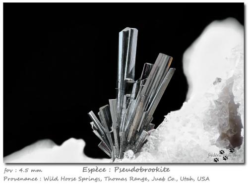 Pseudobrookite<br />Cordillera Thomas, Condado Juab, Utah, USA<br />fov 4.5 mm<br /> (Author: ploum)
