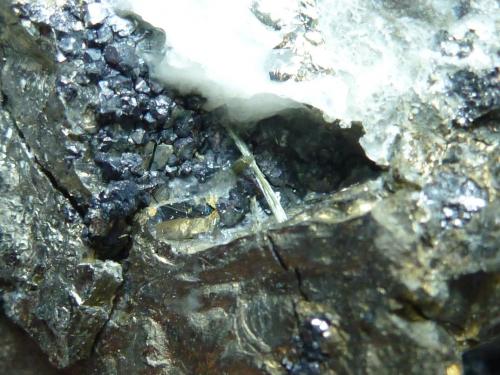 Pirita, Magnetita, Calcita<br />San Guillermo Claim, Jerez de los Caballeros, Comarca Sierra Suroeste, Badajoz, Extremadura, Spain<br />7 x 5 cm<br /> (Autor: javier ruiz martin)