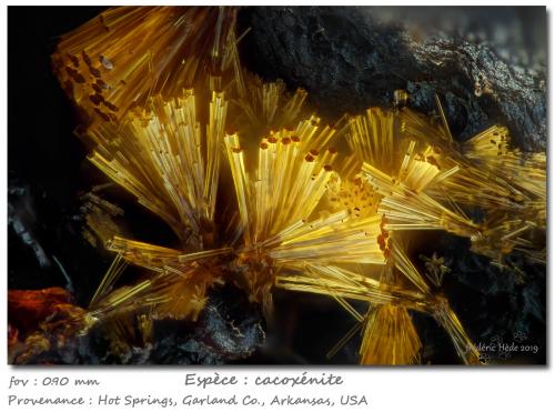 Cacoxenite<br />Hot Springs, Condado Garland, Arkansas, USA<br />fov 0.9 mm<br /> (Author: ploum)