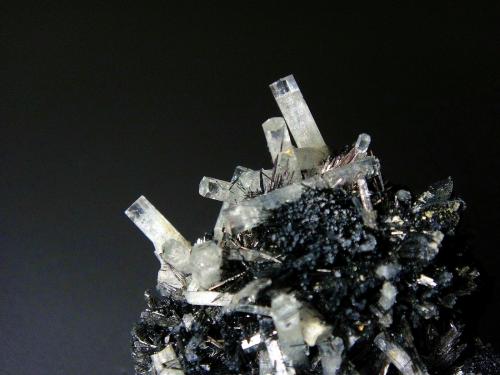 Berilo (variedad aguamarina) en Schorlo (Chorlo)<br />Monte Erongo, Usakos, Región Erongo, Namibia<br />Cristales de 2 cm.<br /> (Autor: Antonio P. López)