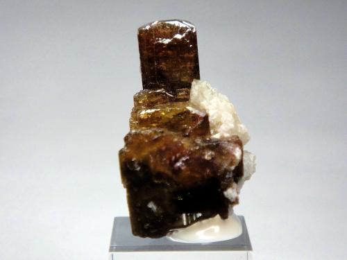 Fluor-liddicoatita (Grupo Turmalina)<br />Anjanabonoina, Ambohimanambola, Distrito Betafo, Región Vakinankaratra, Madagascar<br />3 x 2 cm.<br /> (Autor: Antonio P. López)