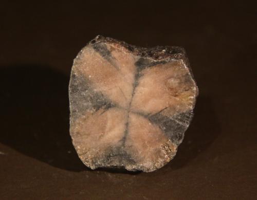 Andalusite (variety chiastolite)<br />Australia<br />34mm x 36mm x 13mm<br /> (Author: Firmo Espinar)