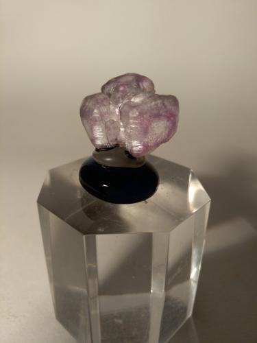 Fluorite<br />Baveno, Maggiore Lake, Verbano-Cusio-Ossola Province, Piedmont (Piemonte), Italy<br />22,5 x 18,5 mm<br /> (Author: Sante Celiberti)